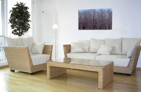 Tablou Canvas Copaci