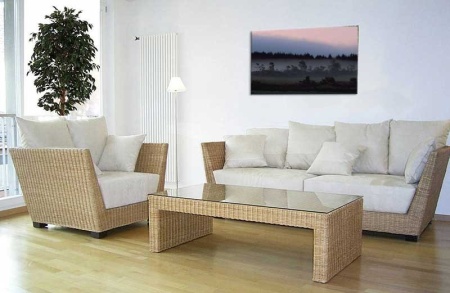 Tablou Canvas Copaci