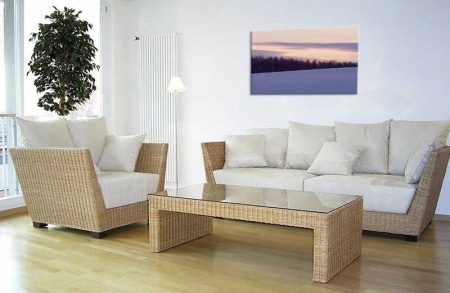 Tablou Canvas Copaci