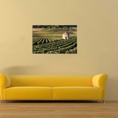 Tablou Canvas Cultura Agricola