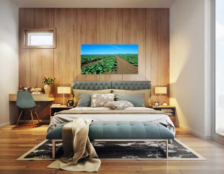 Tablou Canvas Cultura Agricola