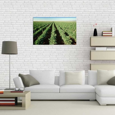 Tablou Canvas Cultura Agricola