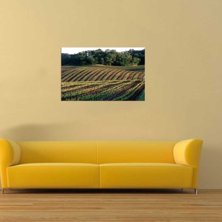 Tablou Canvas Cultura Agricola