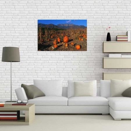 Tablou Canvas Dovleci
