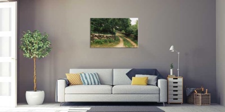 Tablou Canvas Drum prin padure