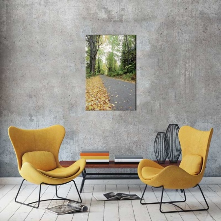 Tablou Canvas Drum prin Padure