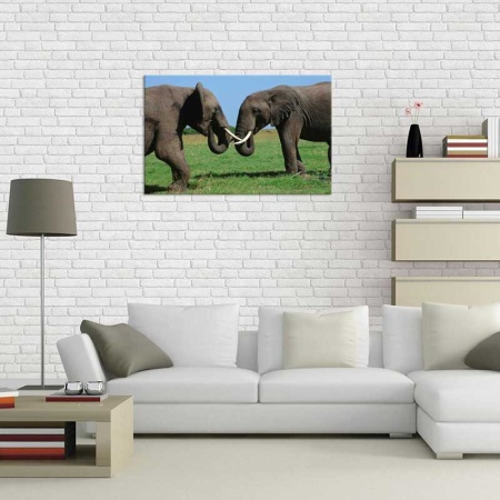 Tablou Canvas Elefanti