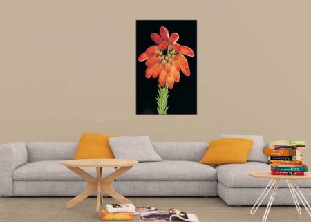 Tablou Canvas Floare Detaliu