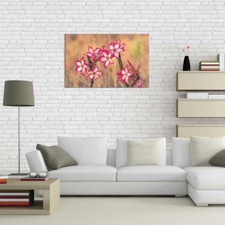 Tablou Canvas Floare Detaliu