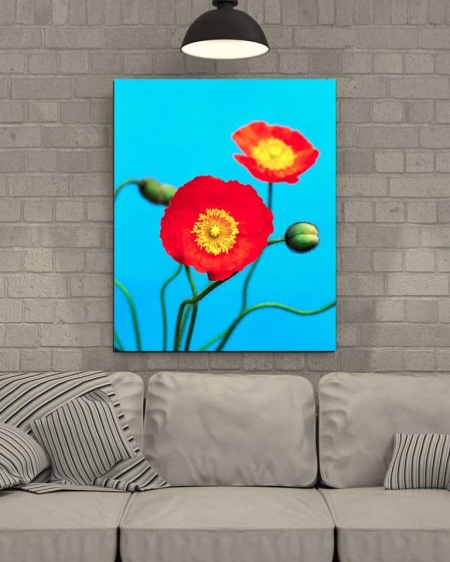 Tablou Canvas Floare rosie