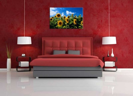 Tablou Canvas Floarea-Soarelui