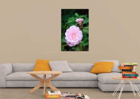 Tablou Canvas Floare