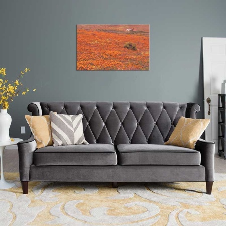 Tablou Canvas Flori de camp