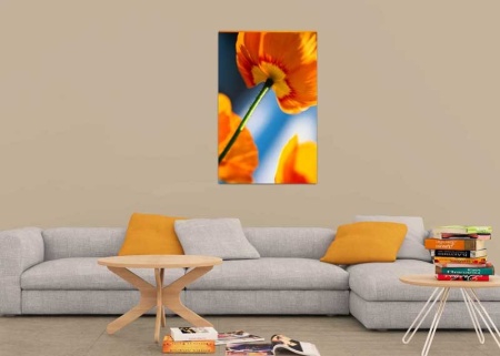 Tablou Canvas Flori