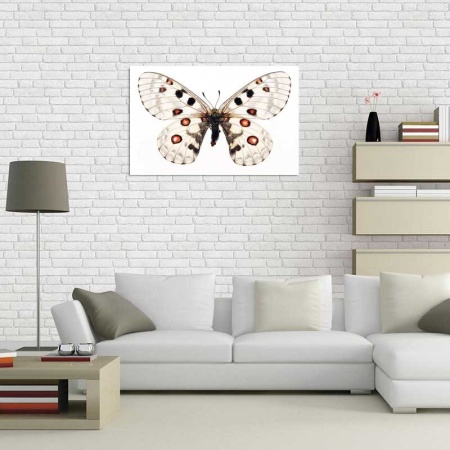 Tablou Canvas Fluturas