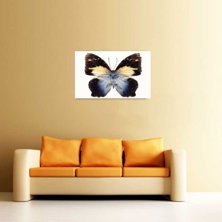 Tablou Canvas Fluturas