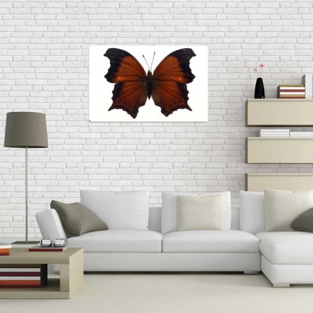 Tablou Canvas Fluturas