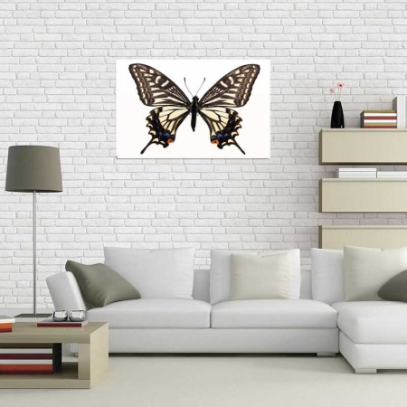 Tablou Canvas Fluturas