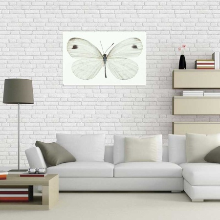 Tablou Canvas Fluturas