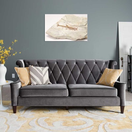 Tablou Canvas Fosila