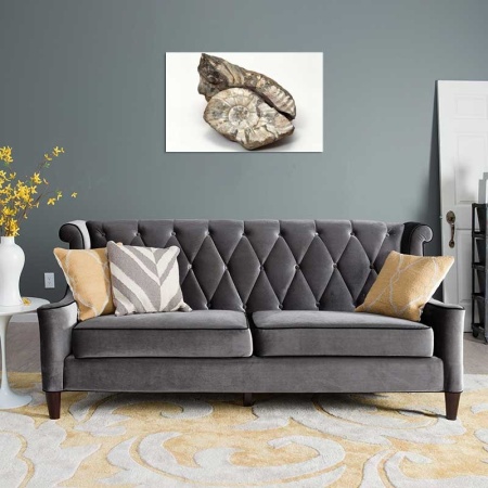 Tablou Canvas Fosila