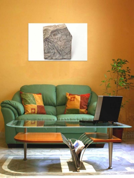 Tablou Canvas Fosila
