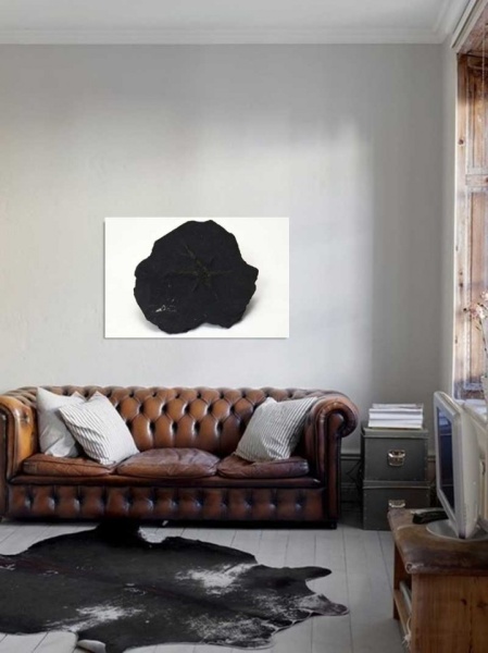 Tablou Canvas Fosila