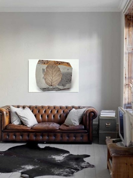 Tablou Canvas Fosila