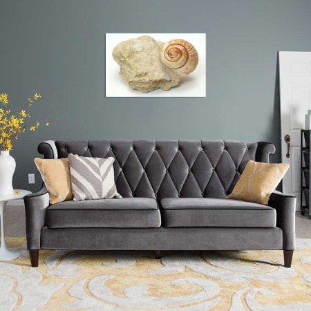 Tablou Canvas Fosila