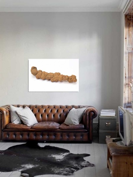Tablou Canvas Fosila