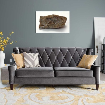 Tablou Canvas Fosila