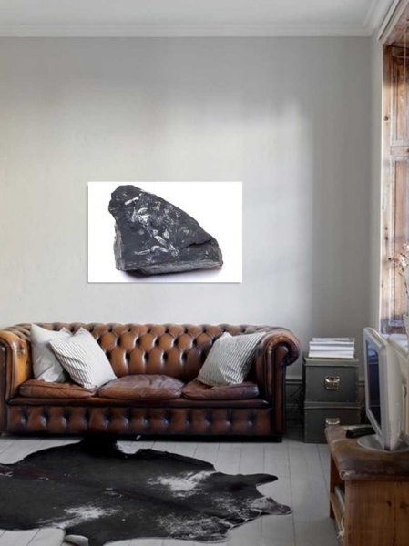 Tablou Canvas Fosila