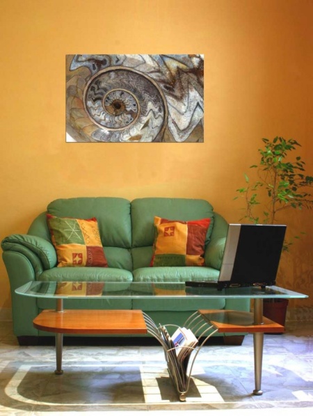 Tablou Canvas Fosila