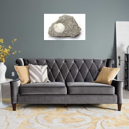 Tablou Canvas Fosila