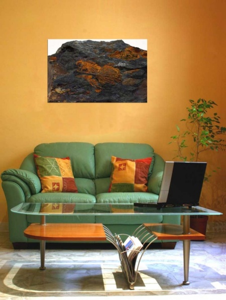 Tablou Canvas Fosila