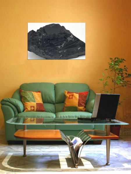 Tablou Canvas Fosila