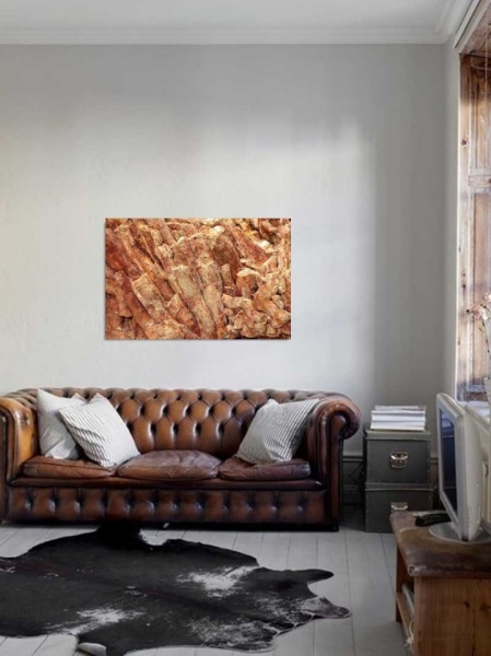 Tablou Canvas Fosila