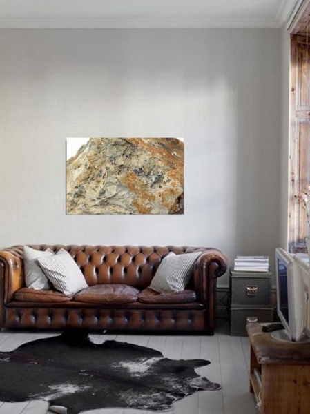 Tablou Canvas Fosila