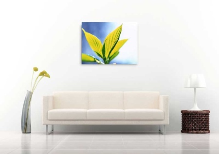 Tablou Canvas Frunza