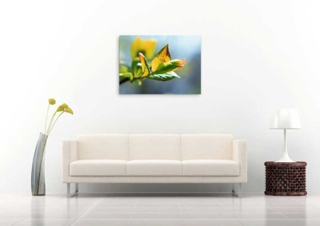 Tablou Canvas Frunza