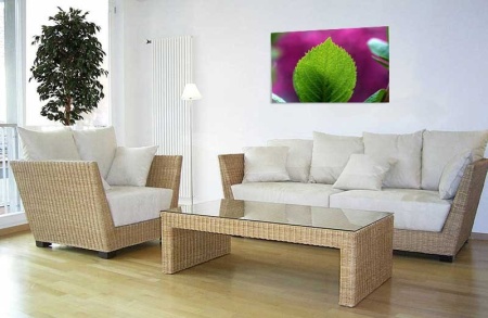Tablou Canvas Frunza