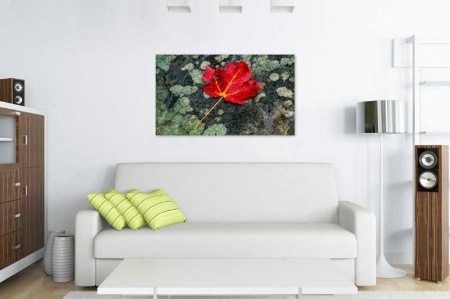 Tablou Canvas Frunze Aramii