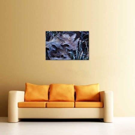 Tablou Canvas Frunze Inghetate