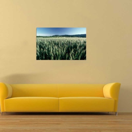 Tablou Canvas Grau