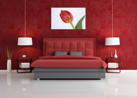Tablou Canvas Lalea