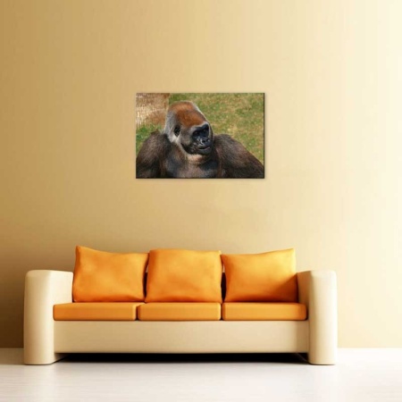 Tablou Canvas Maimuta