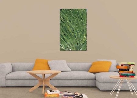 Tablou Canvas Natura