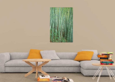 Tablou Canvas Natura