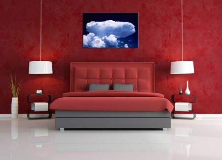 Tablou Canvas Nor Alb