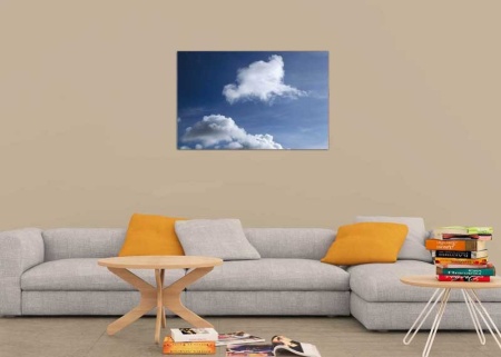 Tablou Canvas Nori Albi pe Cer